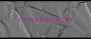 几只哈士奇能拉自行车