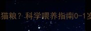 幼猫多久开始吃成猫粮科学喂养指南0-1岁猫咪营养过渡期