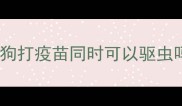 狗狗打疫苗同时可以驱虫吗