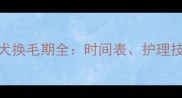 红色哈士奇幼犬换毛期全时间表护理技巧与常见问题
