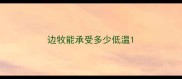 边牧能承受多少低温