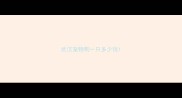 武汉宠物狗一只多少钱