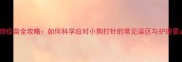 宠物疫苗全攻略如何科学应对小狗打针的常见误区与护理要点