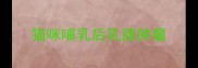 猫咪哺乳后乳腺肿瘤