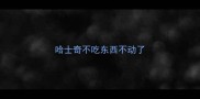 哈士奇不吃东西不动了