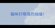 猫咪打嗝强烈抽搐