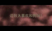边牧太喜欢和狗玩