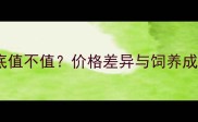 哈士奇到底值不值价格差异与饲养成本全攻略