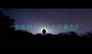 金毛掉毛厉害怎回事办