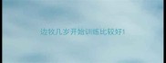 边牧几岁开始训练比较好