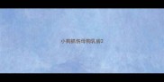小狗抓伤母狗乳房