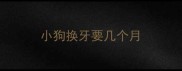 小狗换牙要几个月