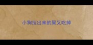 小狗拉出来的屎又吃掉