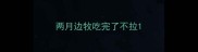 两月边牧吃完了不拉