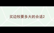买边牧要多大的合适