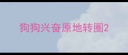 狗狗兴奋原地转圈