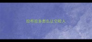 拉布拉多怎么让它咬人