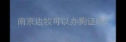 南京边牧可以办狗证吗