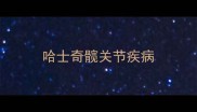 哈士奇髋关节疾病