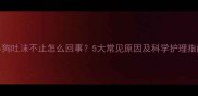 小狗吐沫不止怎么回事5大常见原因及科学护理指南