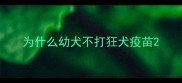 为什么幼犬不打狂犬疫苗