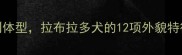 全从毛色到体型拉布拉多犬的12项外貌特征与品种特性