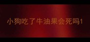 小狗吃了牛油果会死吗
