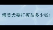 博美犬要打疫苗多少钱
