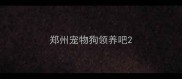 郑州宠物狗领养吧