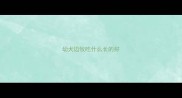 幼犬边牧吃什么长的好