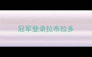 冠军登录拉布拉多