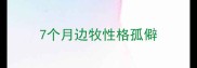7个月边牧性格孤僻