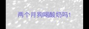 两个月狗喝酸奶吗
