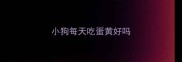 小狗每天吃蛋黄好吗