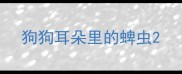 狗狗耳朵里的蜱虫