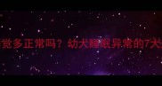 比熊犬两个月睡觉多正常吗幼犬睡眠异常的7大原因及护理指南