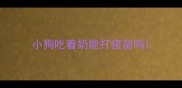 小狗吃着奶能打疫苗吗
