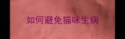 如何避免猫咪生病