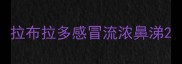 拉布拉多感冒流浓鼻涕