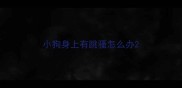 小狗身上有跳骚怎么办
