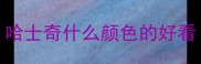 哈士奇什么颜色的好看