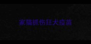 家猫抓伤狂犬疫苗
