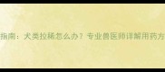 宠物腹泻应急指南犬类拉稀怎么办专业兽医师详解用药方案与家庭护理