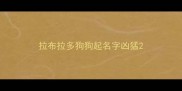 拉布拉多狗狗起名字凶猛