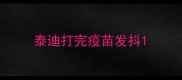 泰迪打完疫苗发抖