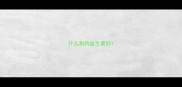 什么狗狗益生菌好