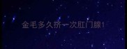 金毛多久挤一次肛门腺