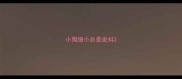 小狗细小总是发抖