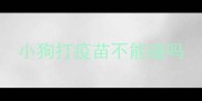 小狗打疫苗不能碰吗