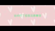 幼犬打了疫苗注意事项